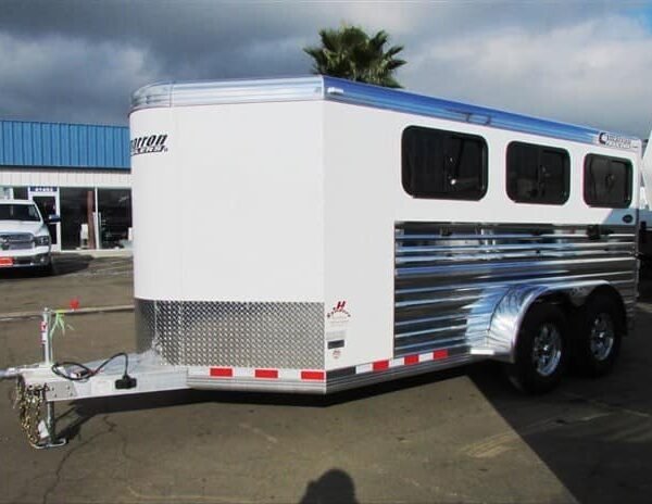 2019 Cimarron Showstar 6 pen